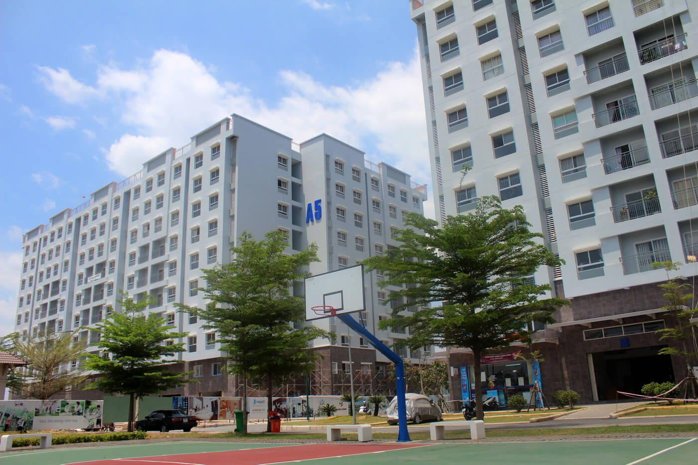 lap_mang_chung_cu_cay_mai