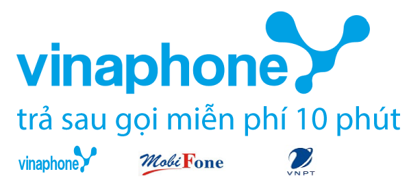 vinaphonetphcmtrasau