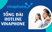 [Cập nhật mới 2026] Tổng đài VinaPhone & các nhánh phục vụ