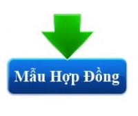 Mẫu biểu đăng ký các dịch vụ VinaPhone